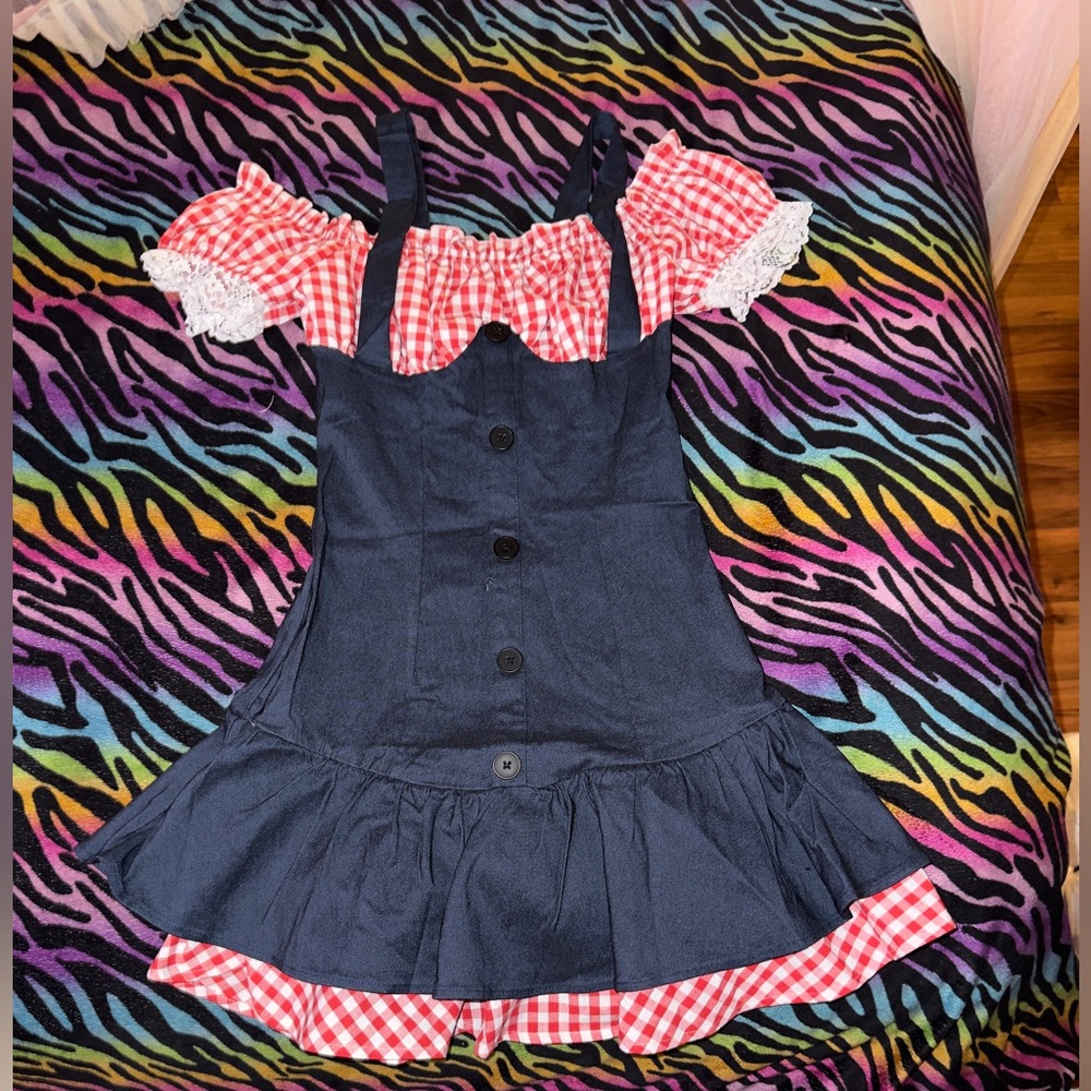 Gingham Dress